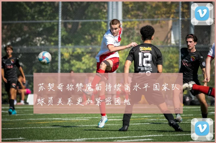 苏契奇称赞魔笛持续高水平国家队球员关系更加紧密团结